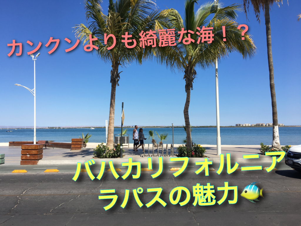 カンクンよりもきれいなビーチ!?バハカリフォルニアのリゾート地、ラパス見どころ紹介! メキシコ情報サイトメヒナビ
