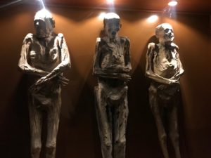 MOMIASの展示